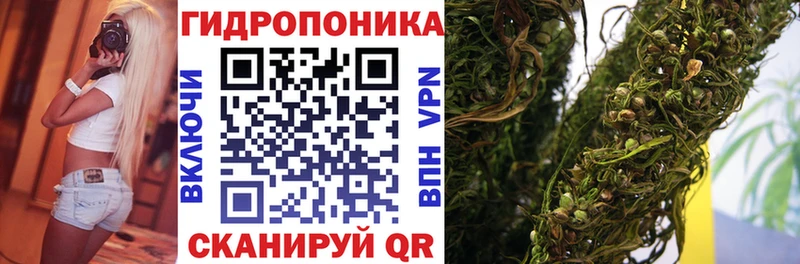 hydra как войти  Искитим  Канабис Amnesia 